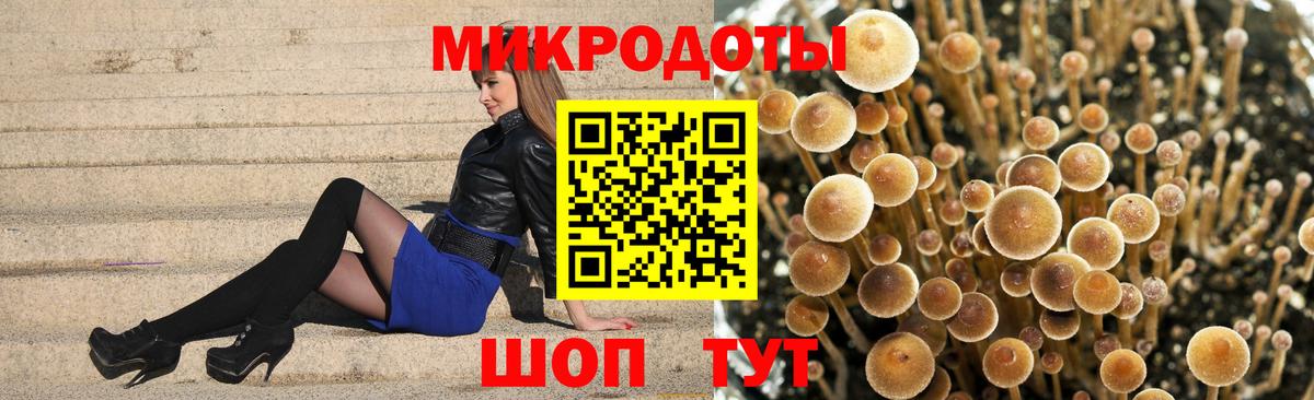 Сыктывкар  Псилоцибиновые грибы прущие грибы  Вход с VPN 
